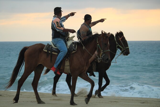 Cabo White Sand Horseback Riding Tour and Tequila Tasting - What to expect from the tequila tasting