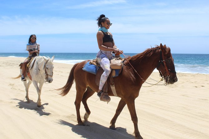 Cabo White Sand Horseback Riding Tour and Tequila Tasting - Who will enjoy this Cabo ride most