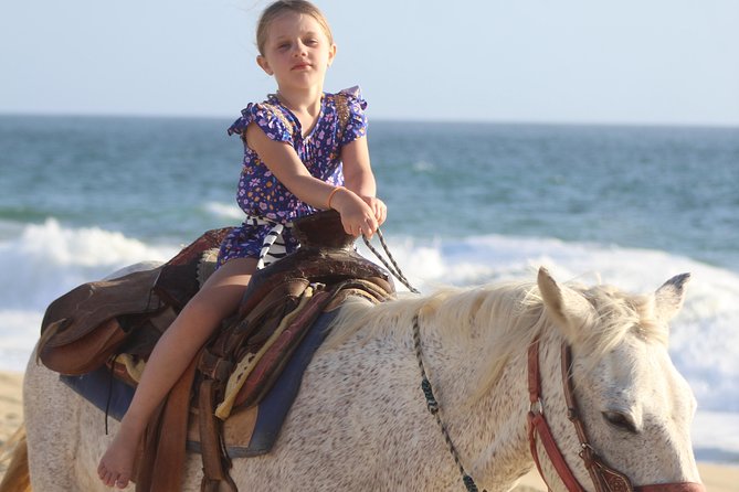 Cabo White Sand Horseback Riding Tour and Tequila Tasting - What the two-hour itinerary really feels like