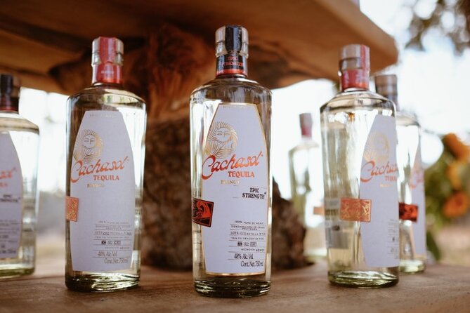 Cachasol Raicilla and Tequila Tour - Rancho del Mono Gives the Tour Its Character