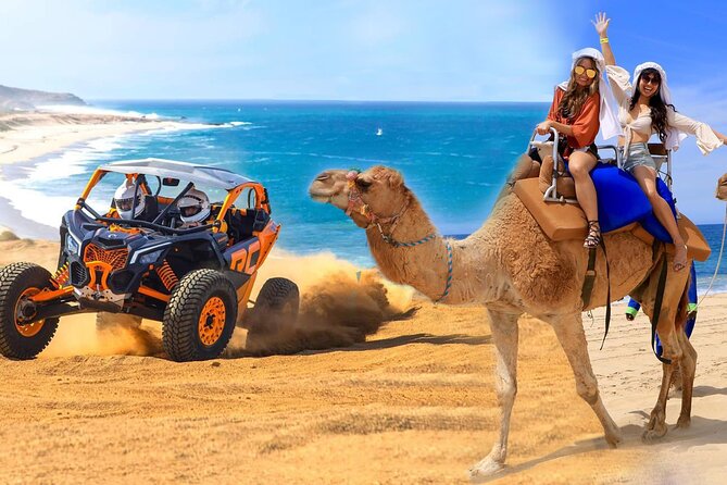 Camel Ride and UTV Combo Adventure, with Tequila Tasting - Quick facts before you book