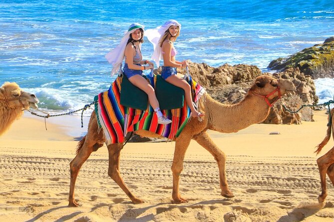 Camel Ride and UTV Combo Adventure, with Tequila Tasting - From Cabo to Rancho de Migriño