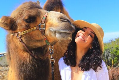 Camel Ride and UTV Combo Adventure, with Tequila Tasting