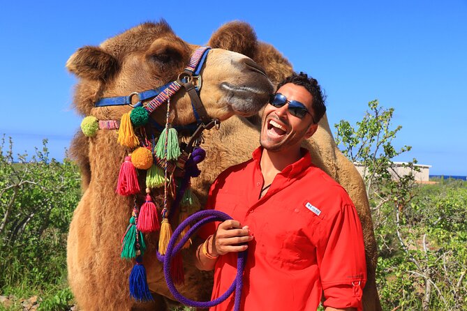 Camel Ride and UTV Combo Adventure, with Tequila Tasting - Sand dunes, cliffs, and Pacific views