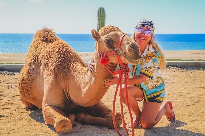 Camel Ride and UTV Combo Adventure, with Tequila Tasting - The real price: $108 is only the starting point
