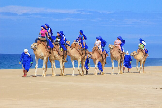 Camel Ride and UTV Combo Adventure, with Tequila Tasting - What the guides add to the day
