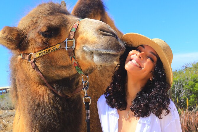 Camel Ride and UTV Combo Adventure, with Tequila Tasting - The camel ride along Migriño Beach