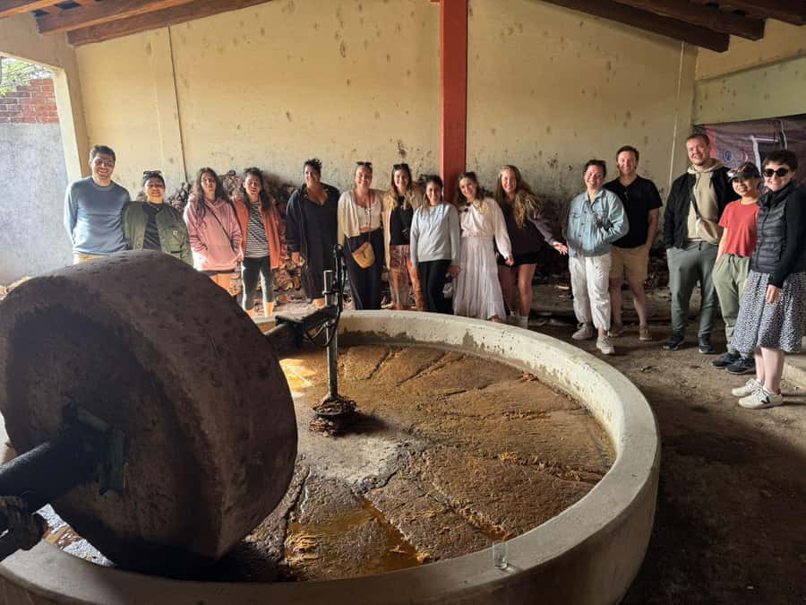 Check out Hierve el Agua, Mitla, the Tule Tree, Rugs, and a Mezcal Distillery Tour - Lunch: convenient, but not the culinary highlight