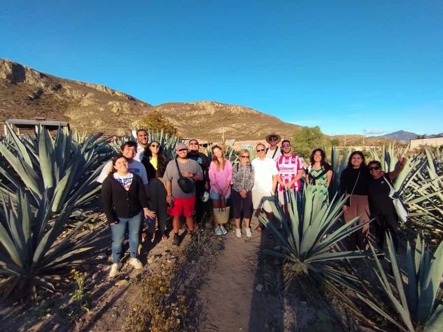 Check out Hierve el Agua, Mitla, the Tule Tree, Rugs, and a Mezcal Distillery Tour - The road time, vehicle, and pace