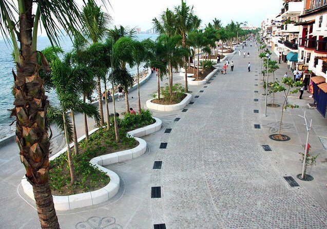 City and Tequila Tour in Puerto Vallarta - Four things to know before you book