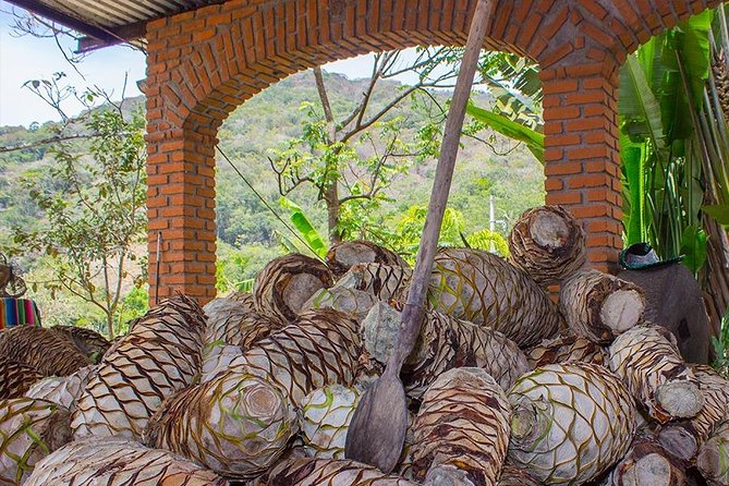 City and Tequila Tour in Puerto Vallarta - Starting in Zona Romantica with Fire Opal