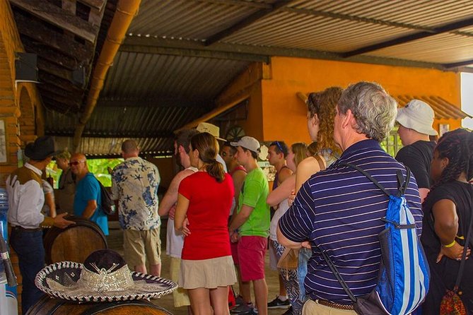 City and Tequila Tour in Puerto Vallarta - Transportation, timing, and what to wear