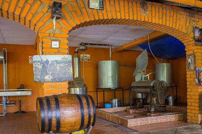 City and Tequila Tour in Puerto Vallarta - Should you book it?