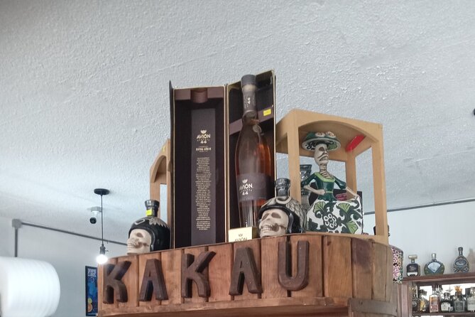 City Tour Todos Santos and Tequila Tasting - Who should book this Todos Santos trip?
