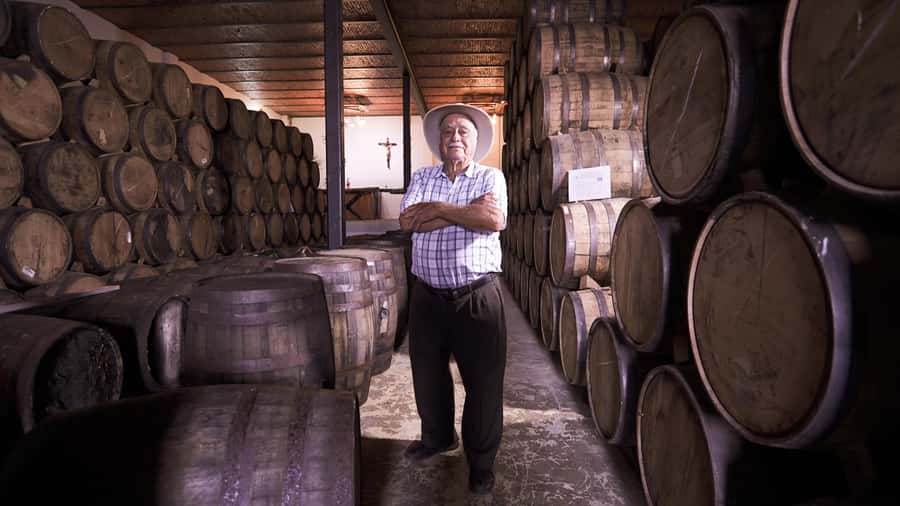 Classic Tequila Route Tour from Guadalajara and cantaritos el GÜERO!!! - Key things to know before booking