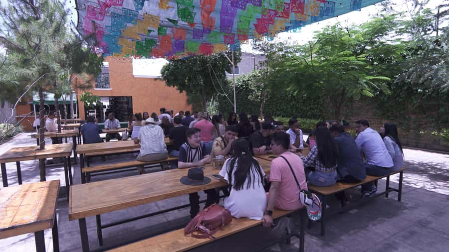Classic Tequila Route Tour from Guadalajara and cantaritos el GÜERO!!! - Who will enjoy this Tequila Route most