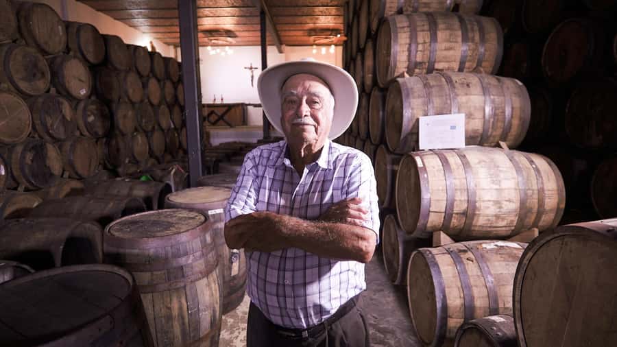 Classic Tequila Route Tour from Guadalajara and cantaritos el GÜERO!!! - Walking through Tequila town
