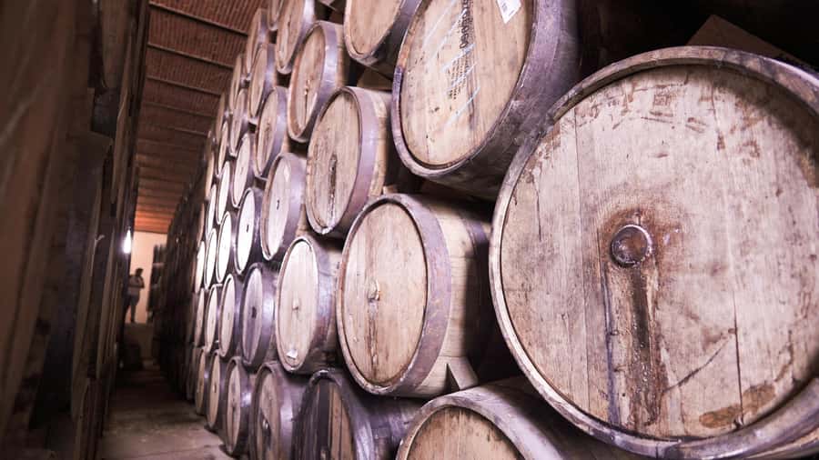 Classic Tequila Route Tour from Guadalajara and cantaritos el GÜERO!!! - How to handle the long day and tequila tastings