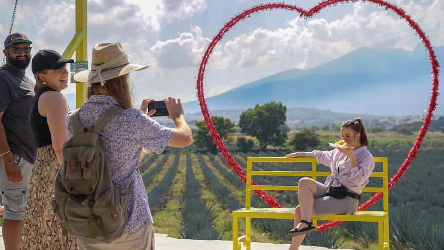 Classic Tequila Route Tour from Guadalajara and cantaritos el GÜERO!!! - Reading the agave fields before tasting tequila
