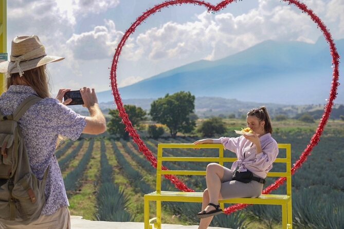 Classic Tequila Tour and CANTARITOS EL GÜERO - Key points to know before booking