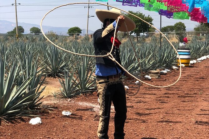 Classic Tequila Tour and CANTARITOS EL GÜERO - The drive to El Arenal and Don Cayo