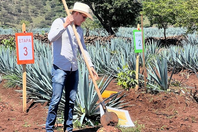 Classic Tequila Tour and CANTARITOS EL GÜERO - Blue agave and the UNESCO setting near Amatitán