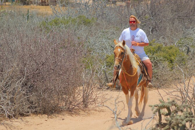 Combined ATV and Horseback Ride/Tequila Tasting - From your hotel to San Jose del Cabo