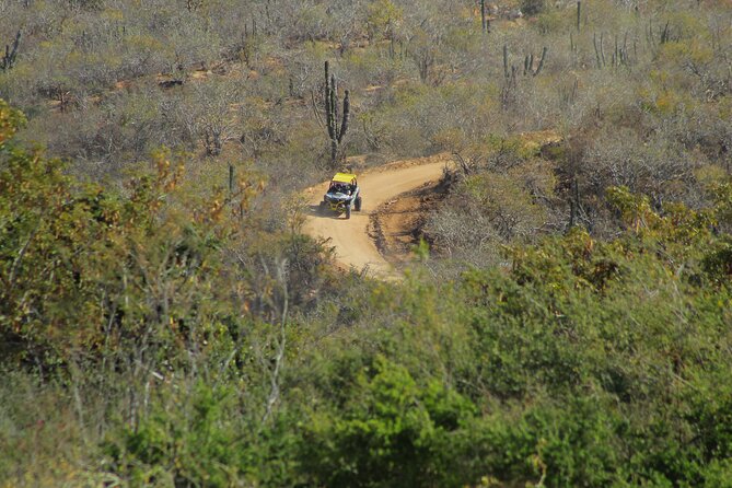 Combo Adventure with RZR and ATV or HBR and Tequila Tasting - Horseback riding is calmer, but less consistent