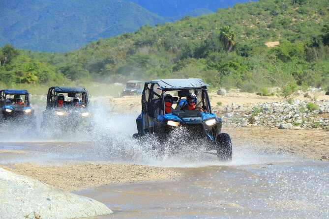 Combo Off Road 4x4 UTV Camel Ride Lunch and Tequila Tasting - What this 3.5-hour Cabo outing actually includes