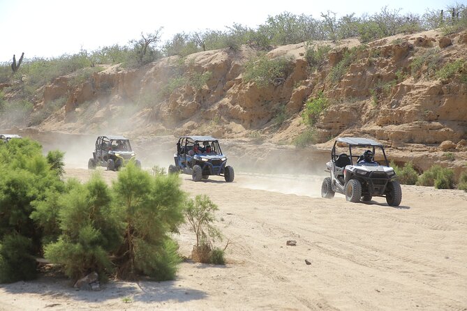 Combo Single Offroad 4x4 UTV, Camel Ride, Lunch & Tequila Tasting - Key points to know before booking
