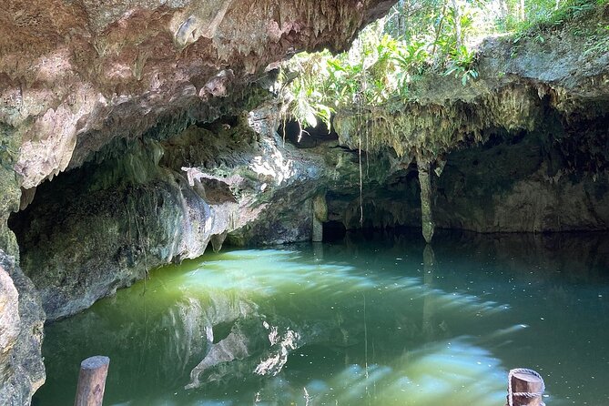 Cozumel ATVs, El Cedral Ruins, Cenote Jade, and Tequila - Who will enjoy this experience most?