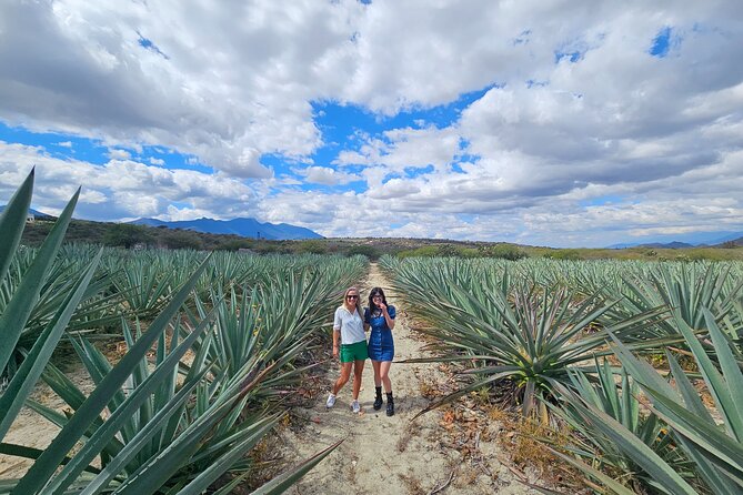 Danzantes Premium Mezcal, Hierve el Agua, Textiles & Lunch - Key details that shape the day
