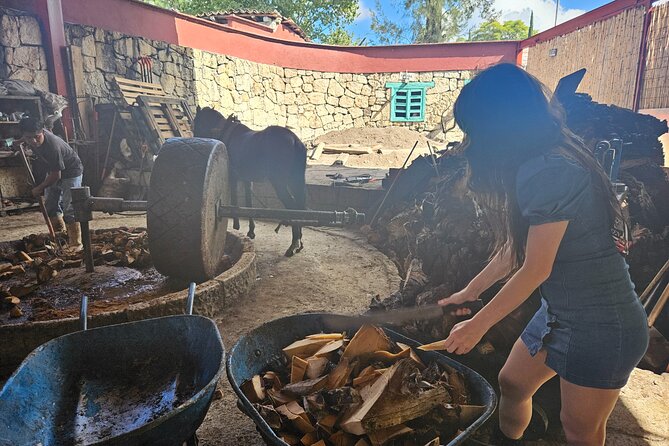 Danzantes Premium Mezcal, Hierve el Agua, Textiles & Lunch - Lunch beside the maguey fields