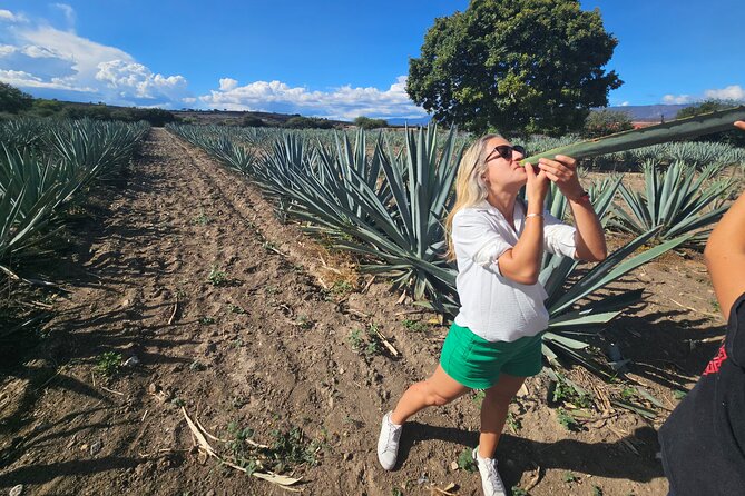 Danzantes Premium Mezcal, Hierve el Agua, Textiles & Lunch - What the $280 price means