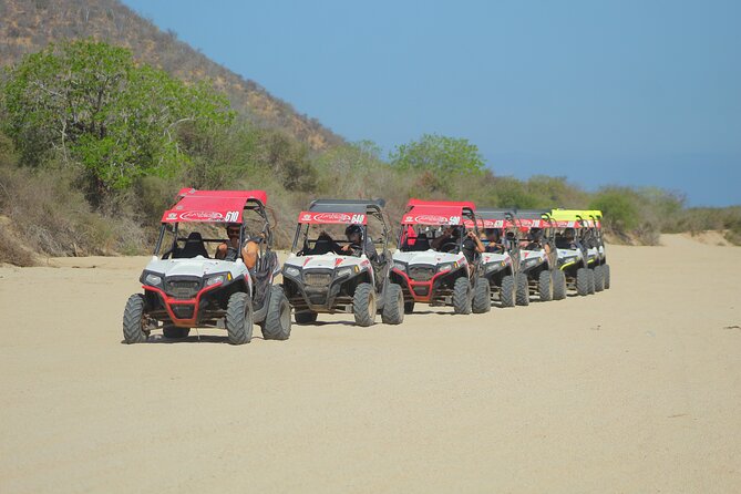 Desert and Beach UTV Adventure with Tequila Tasting - Key details at a glance