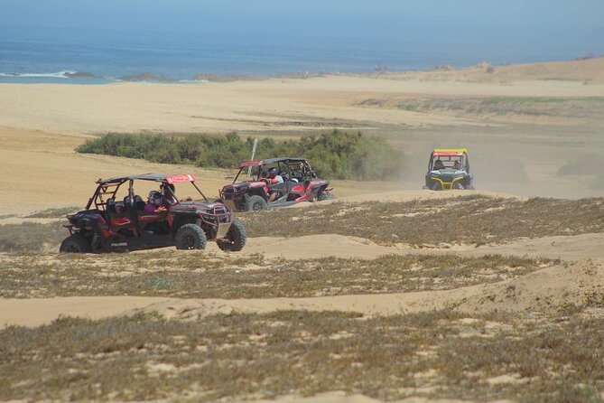 Desert and Beach UTV Adventure with Tequila Tasting - Is $179.12 a fair price?