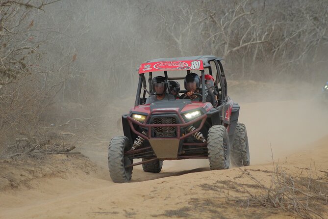 Desert and Beach UTV Adventure with Tequila Tasting - Who should book this Baja ride?