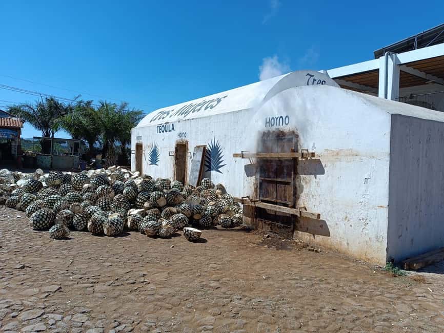 Destino Tequila: Experiencia Premier Privada - Why this private Tequila day works