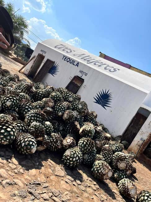 Destino Tequila: Experiencia Premier Privada - Tequila Selecto: watch agave become tequila