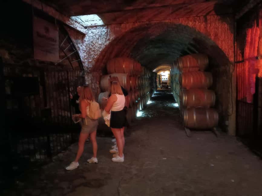 Destino Tequila: Experiencia Premier Privada - Two hours to wander Tequila town