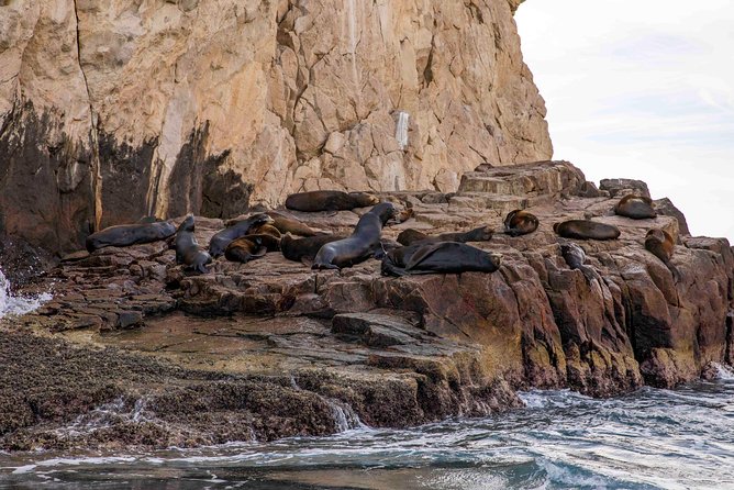 Dinner Cruise Tour in Cabo San Lucas with Tequila Tasting - Dinner on board: barbecue, buffet, and mixed expectations