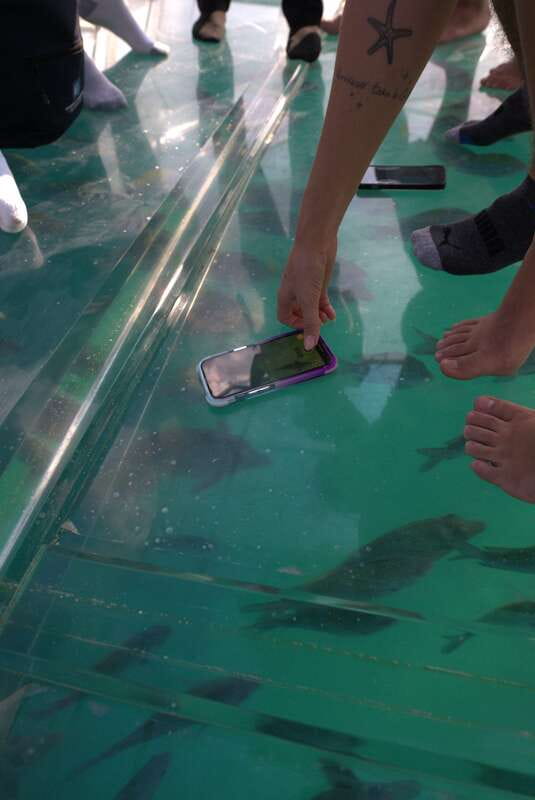 Discover Cabo San Lucas Clear Boat Glass Factory & Tequila - Cabo’s main square, old church, and tuna cannery