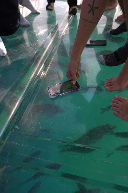 Discover Cabo San Lucas Clear Boat Glass Factory & Tequila - Price, timing, and what the day really includes