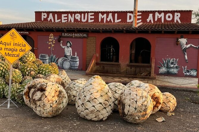 Distillery Tour and Agave Fields by Mal de Amor Mezcal - Key things to know before booking