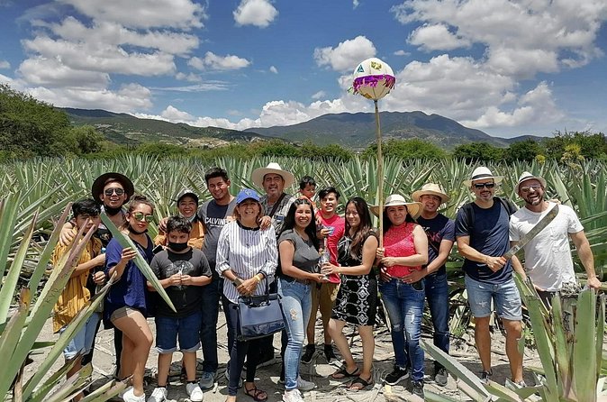 Distillery Tour and Agave Fields by Mal de Amor Mezcal - Pulque, aguamiel, tepache, and a change of pace