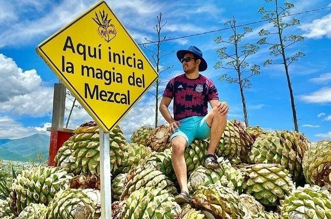 Distillery Tour and Agave Fields by Mal de Amor Mezcal - Price, timing, and who gets the best value