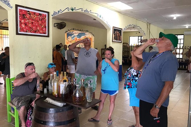 Dune Buggy Adventure, Snorkel, Mayan Town, East Coast, Tequila and City Tour - Who will get the most from this four-hour outing