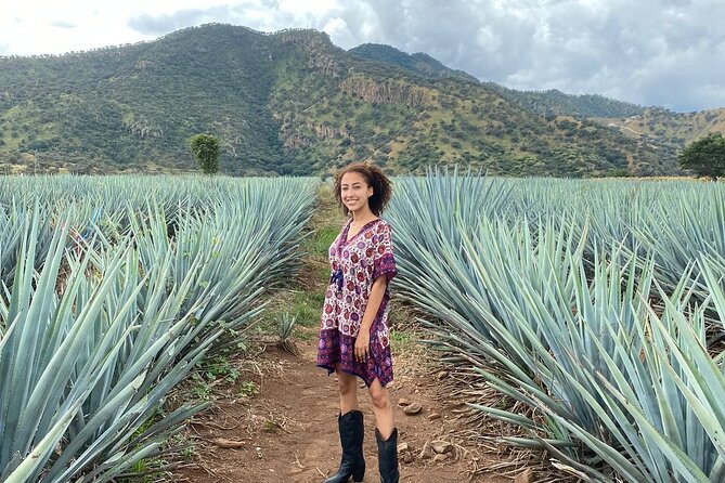 Enjoy a full day on the Tequila and Amatitan route - A short walk through the town of Tequila