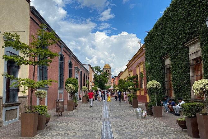 Enjoy a full day on the Tequila and Amatitan route - Price, inclusions, and the real cost