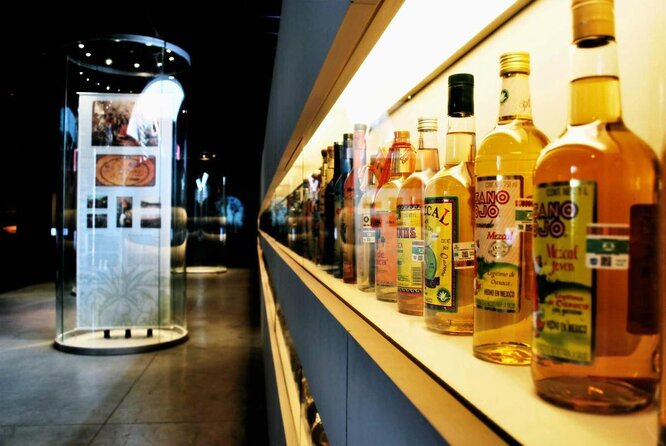 EXCLUSIVE TOUR Tequila & Mezcal - small groups - Key points to know before booking
